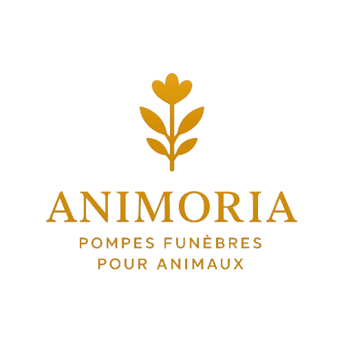 animoria logo